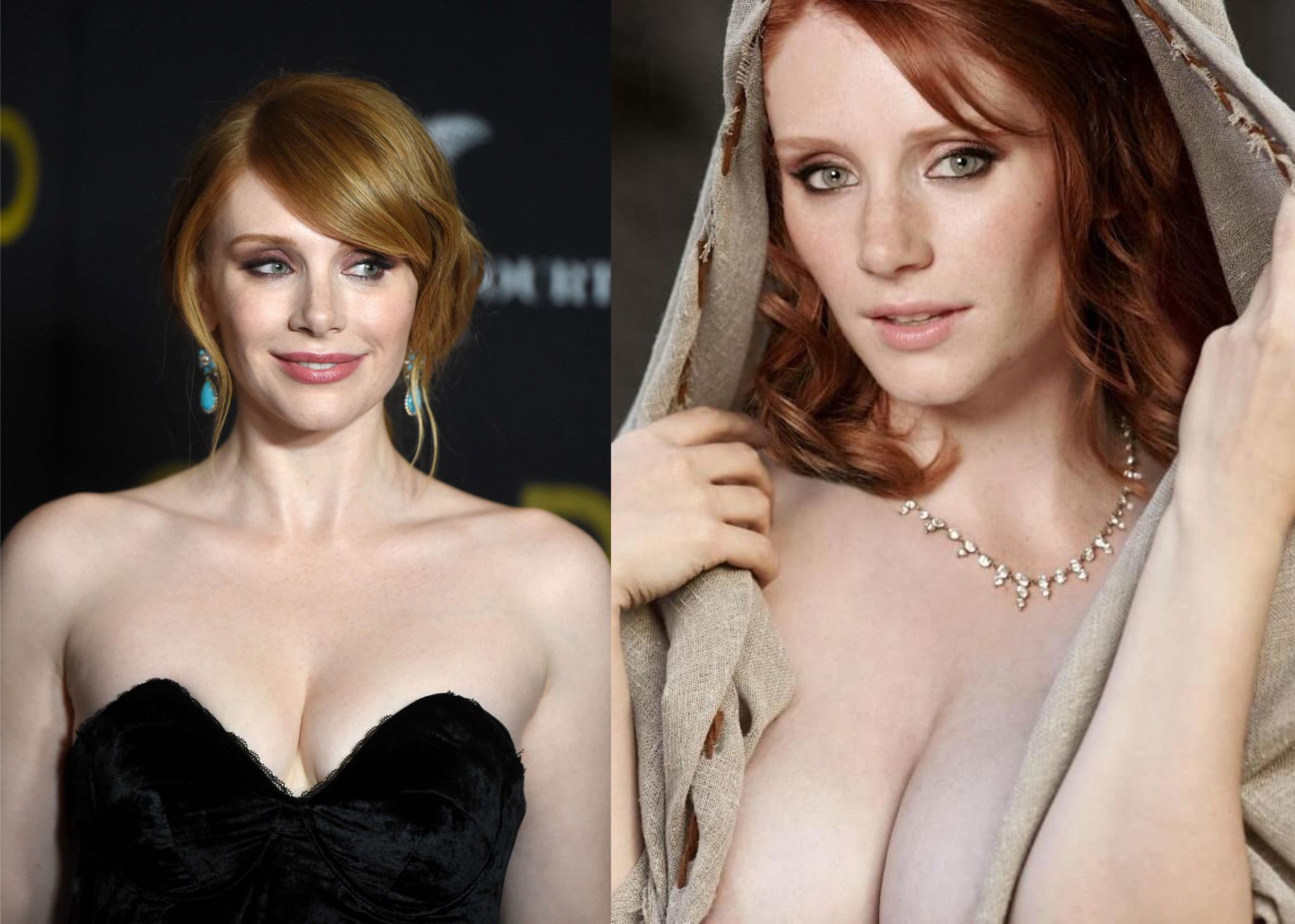 bryce dallas howard movies