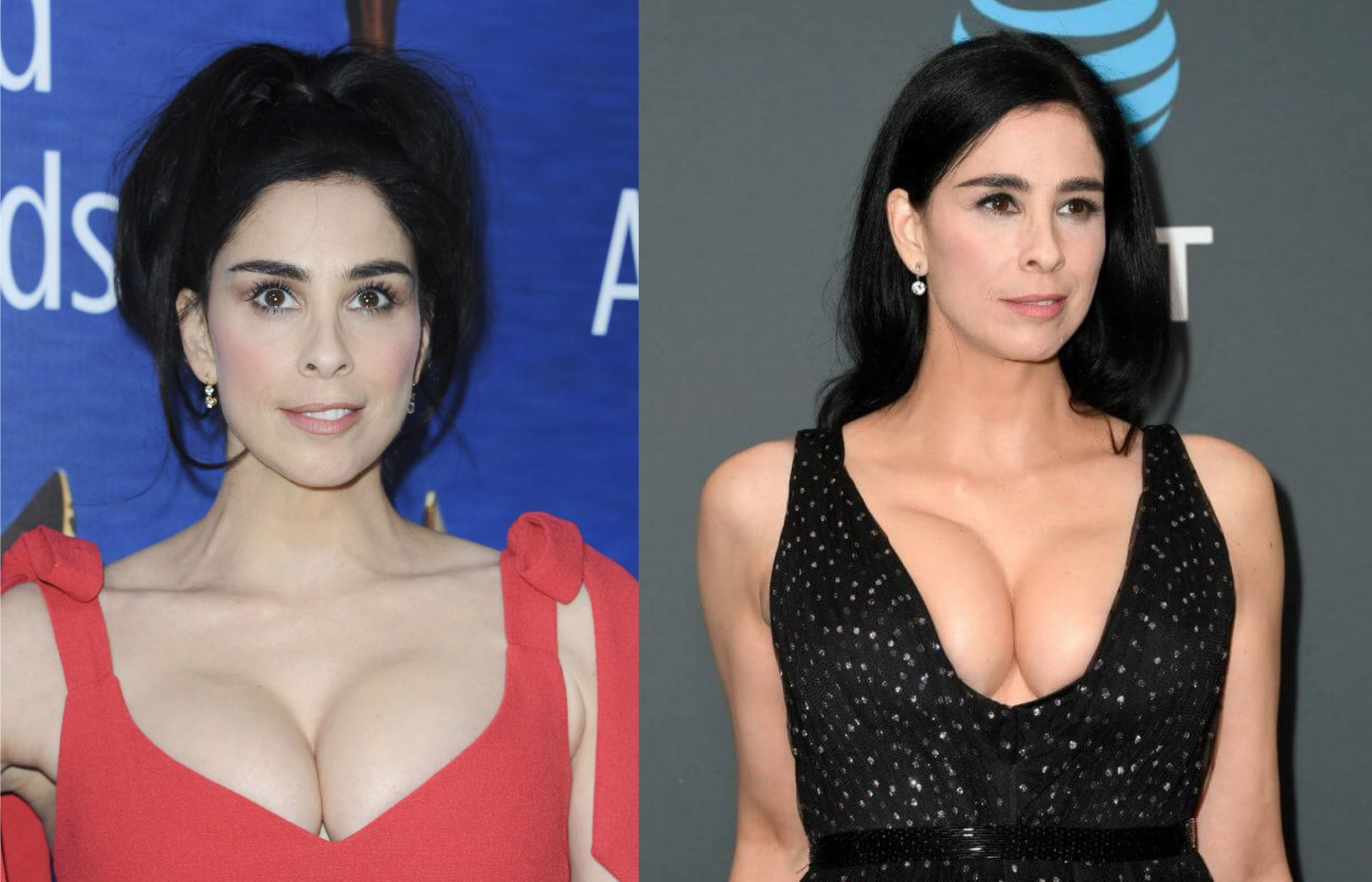 Sarah Silverman Beautiful and Hot Pictures.