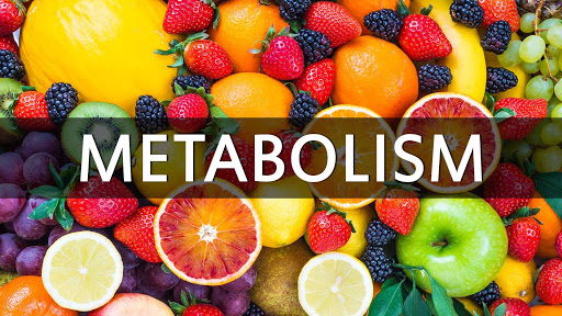 metabolism how to increase