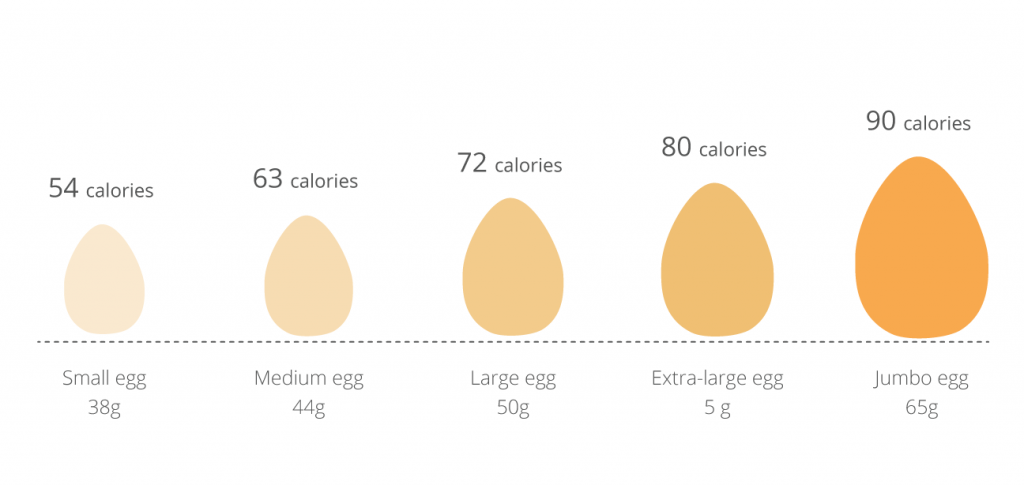 calories in a egg