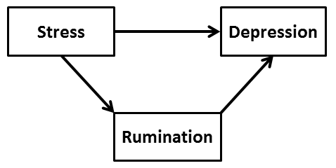 rumination definition