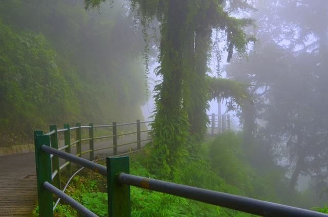 This Is The Best Time Of The Year To Visit Mussoorie