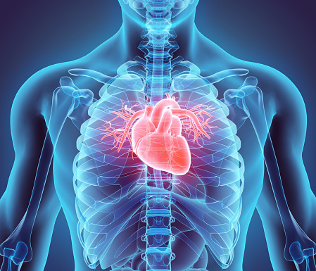 Crucial tests to diagnose heart problems